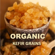 Water Kefir Grains Probiotic Water Kefir Grain KEFIR / 克菲尔颗粒 (Active Grains)