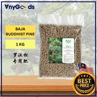 [1kg] AnyGoods Special Buddhist Pine Podocarpus Macrophyllus Fertilizer | Baja Pokok Pine Buddha Pod