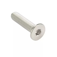 (-304 Stainless Steel Countersunk Head Hexagon Socket Screw Flat Head Screw Screw Flat Cup Bolt M20