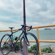 trinx 千里達公路單車swift2.0 s碼