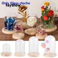 FAY Glass cloche Terrarium Tabletop Plants Glass Vase Jar Transparent Bottle Flower Storage box