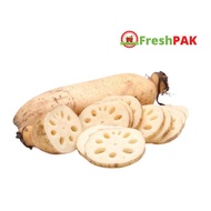 FreshPAK - Lotus Root 500gr / Akar Teratai / Sayuran Segar