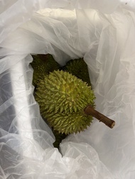 🇲🇾馬拉直送 貓山王D197 + 黑刺D200 10kg混裝箱