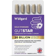 Wellgard Gutstar Probiotics Bloating Gut Health Digestion, Probiotic , Gut Health s, Probiotics for 