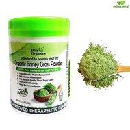 Green Grass Infused Barley Powder: Organic Sachet for Total Wellness pure drink mix original salveo official store