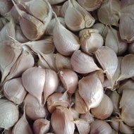 BAWANG PUTIH KATING MURAH- BAWANG PUTIH 1KG