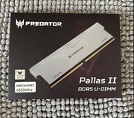 Acer Predator Pallas II DDR5 Ram