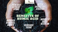 GHZ-Serbuk Asid Humic/Humic Acid Powder NOT SOLUBLE/Fertilizer/Baja Organik