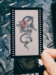 底片風半透明塑料小卡 蛇骨與花