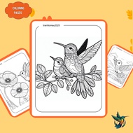 Set of 50/25/10 sheets of coloring pages, coloring pictures for children, Hummingbird images, A4, A5