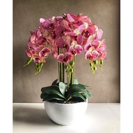 8 Stalks 3D Orchid with White Ceramic Pot