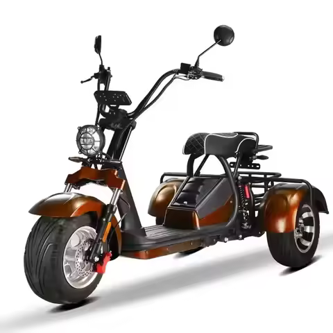 Unisex 3-Wheel Electric Tricycle Citycoco EEC Approved Electric Dirt Bike Scooter And Motorcycle 200