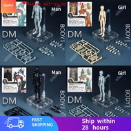 【免运费】Mannequin SHF Figures Body Chan SHFiguarts Body Kun Black Orange Color Ver PVC Action Figure Co