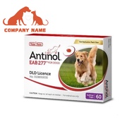 Antinol DOG ช่วยบำรุงข้อ กระดูก ขน ผิวหนัง และไต(1 กล่อง 60 caps) สำหรับสัตว์เลี้ยง EXP.03/2025🐾🐾🐾🐕🐕