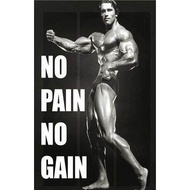 More Style Arnold Schwarzenegger Bodybuilding Inspirational Quote Art Film Print Silk Poster