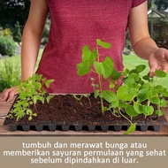 Cod Available Joy10/ 20Pcs Seedling Tray Pot Seedling Pot/ Seedling Pot -50 72/ 128 200 Hole/ ...