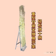 Sugar Cane Rack Shelf Sugar Cane Sugar Cane Reliable Sugar Cane Rack Display Rack Place HHPC