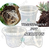 Octo Transparent Series Flower Pot Gardening Hydroponics Orchid 透明花盆 花盆 彩芋花盆 绿植花盆 Transparan pasu   pot transparent pot