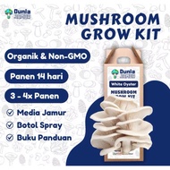 Oyster Mushroom Cultivation Package Educational Toys for Children to Learn Gardening Mushroom Grow K
