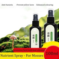 Moss Nutrient Solution Spray