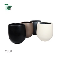 กระถางไฟเบอร์กลาสรุ่น TULIP SIZE S pre-order 5 วัน