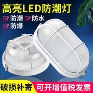 Moisture-Proof Light Cold Storage Basement Bathroom Toilet Bathroom Waterproof Explosion-Proof Cockp