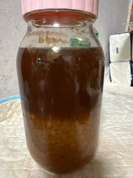 水克菲爾活菌 water kefir & 奶克菲爾活菌 milk kefir