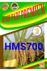 benih padi unggul HMS700 premium 1kg