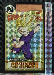 龍珠閃咭 新閃 95% card