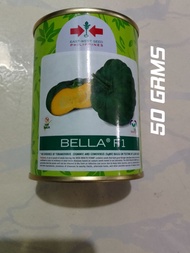 BELLA F1 HYBRID SQUASH SEEDS(50 GRMS) BY EAST WEST