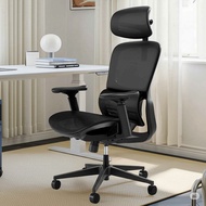 HBADA Office Chair 3D Lumbar Support Flexible Armrest - P2 Pro