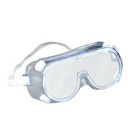 3M 1621AF Safety Goggles