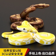 Solid Children Simulation Animal Toys Reptile Model Python Golden Python King Python Ball Python Cog