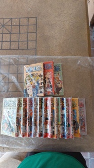 海賊王 ONE PIECE 日文版漫畫書