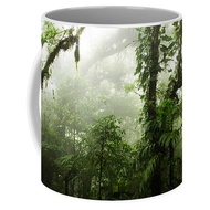 Cloud Forest Coffee Mug