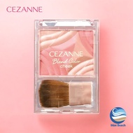 CEZANNE Professional Cheek / Gradation Palette / Multi-Effect Blush