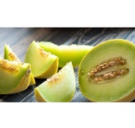 Buah melon madu segar 1 buah buah melon putih