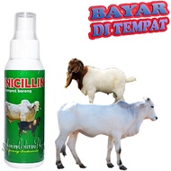 Obat Sapi Kerbau Kambing PINICILLIN Penghilang Gudix Koreng Luka Borok Jamuran
