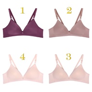 Scale | Size 36C - 42C | Scalen 2826. Wireless Bra | Medium Foam