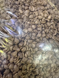 Mini KoKo Crunch/Fruity Crunch/Bubble Rice Cocoa/Koko Ball/Ruby Colour Mini Crunch/Bubble Rice Plain