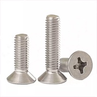 Flat Screw Phillips Flat Screw, 304 Stainless Steel Countersunk Small Screw M5/M6
