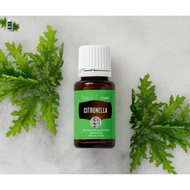 Essential Oil Citronella YL EO Minyak Atsiri Murni Essensial