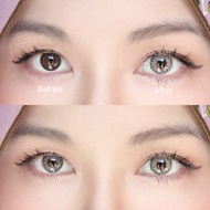 LENS FLORIDA (BROWN/GRAY) (14/14.5mm) BY DAISY.LENS