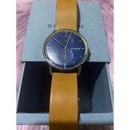 Skagen Denmark Watch for Men