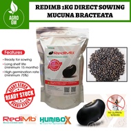 REDIMB Benih kacang penutup bumi Kebun Sawit Mucuna Bracteata Direct Sowing Cover Crop 1kg 500gm