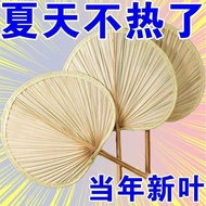 Fan XQ0Z Chinese Style Big Futon Fan Futong Jigong Fan Palm Leaf Fan Old-fashioned Banana Fan Group 