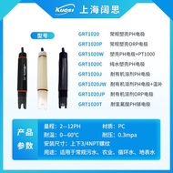 Probe Apure Sensor PHph Meter ph Electrode Electrode Online ORP Portable Plastic Case/GRT1020 Indust