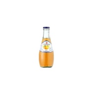 聖沛黎洛氣泡水果水200ml-葡萄柚口味/24瓶*箱