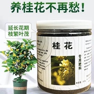 桂花花肥料专用肥酸性桂开花树专用肥桂花树肥料四季氮磷钾复合肥Special Fertilizer for Osmanthus fragrans Fertilizer Acidic Osmanthus 