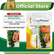 PY1-Benih Betik Sekaki / Crop Power Dwarf Papaya Seeds/DA 029/DA029Big Hong Kong 一尺木瓜种子 10 gm gram 1